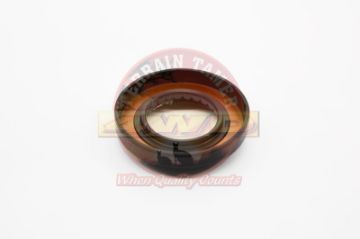 SEAL DIFF PINION (41