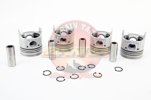 PISTON SET L 0.50