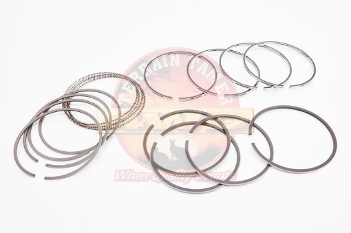 RING SET PISTON 1.00 3L JAPANESE